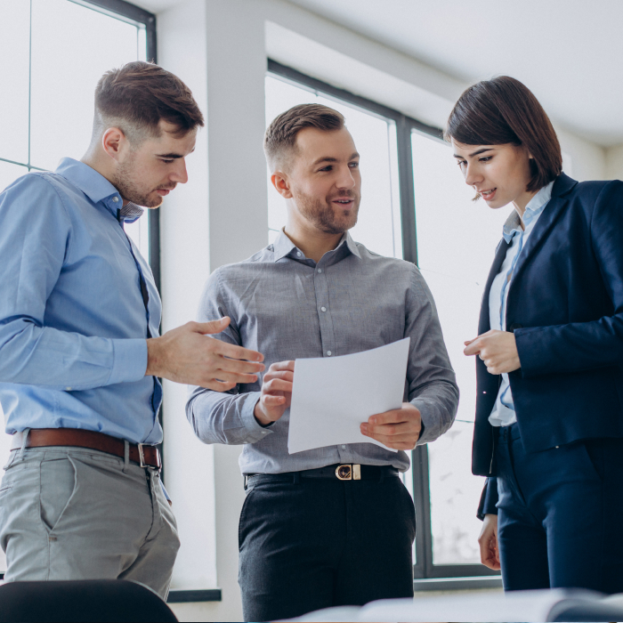 Adon assistant workflow visual